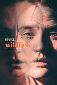 Assistir Wildfire online