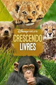 Assistir Crescendo Livres online