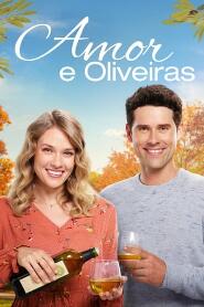 Assistir Amor & Oliveiras online