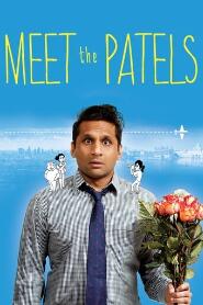 Assistir Meet the Patels online