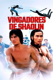 Assistir Vingadores de Shaolin online