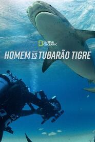 Assistir Homem vs Tubarão Tigre online