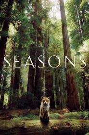 Assistir Seasons online