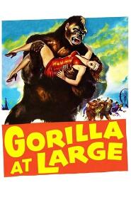 Assistir Gorilla at Large online