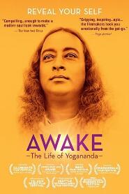 Assistir Awake A Vida de Yogananda online