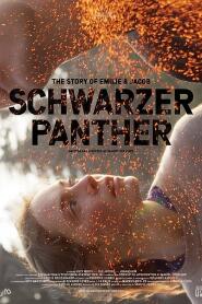 Assistir Schwarzer Panther online