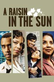 Assistir A Raisin in the Sun online