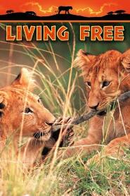 Assistir Living Free online