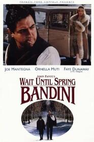 Assistir Wait Until Spring, Bandini online