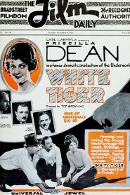 Assistir White Tiger online