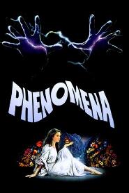 Assistir Phenomena online