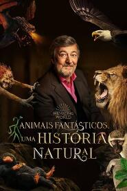 Assistir Animais Fantásticos Uma História Natural online