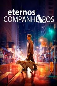 Assistir Eternos Companheiros online