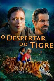 Assistir O Despertar do Tigre online