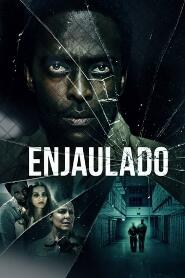 Assistir Enjaulado online