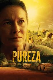 Assistir Pureza online