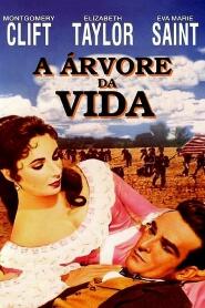 Assistir A Árvore da Vida online