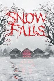 Assistir Snow Falls online