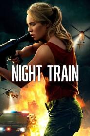 Assistir Night Train online