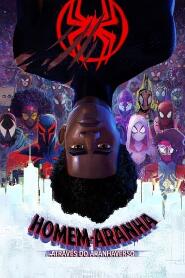 Assistir Homem-Aranha: Através do Aranhaverso online