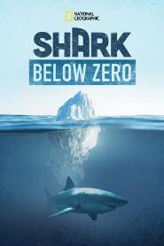 Assistir Shark Below Zero online