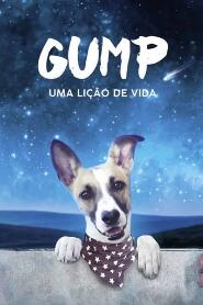 Assistir Gump - Uma Lição de Vida online