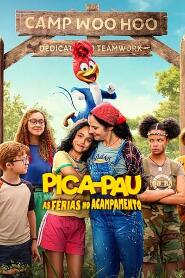 Assistir Pica-Pau: As Férias no Acampamento online