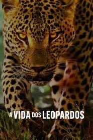 Assistir A Vida dos Leopardos online