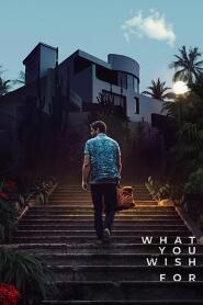 Assistir What You Wish For online