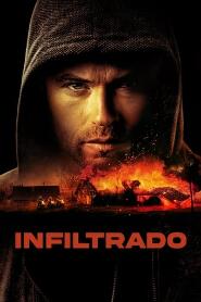 Assistir Infiltrado online