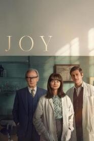 Assistir JOY: Um Pequeno Milagre online