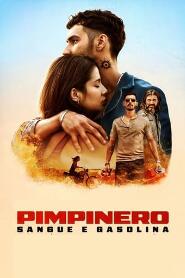 Assistir Pimpinero: Sangue e Gasolina online