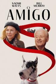 Assistir O Amigo online