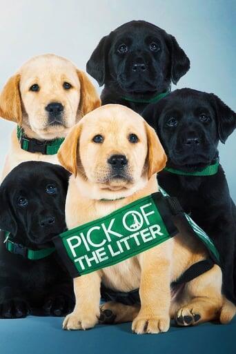 Assistir Pick of the Litter online