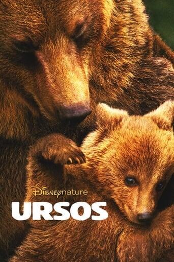 Assistir Ursos online