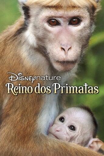 Assistir O Reino dos Primatas online