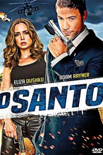 Assistir O Santo online