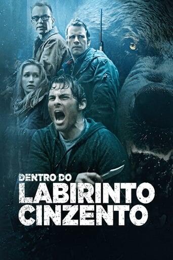 Assistir Dentro do Labirinto Cinzento online