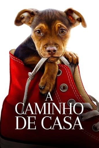 Assistir A Caminho de Casa online