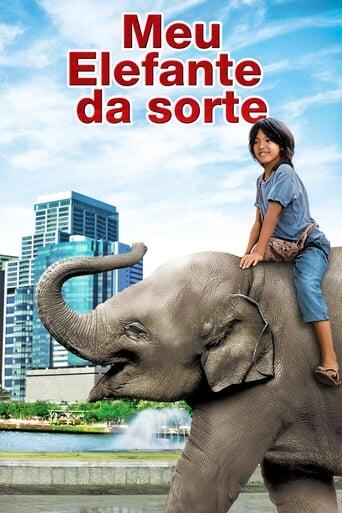 Assistir Meu Elefante da Sorte online