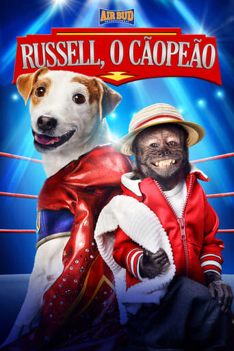 Assistir Russell, O Cãopeão online