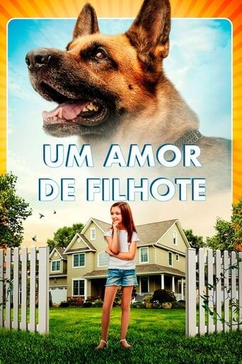 Assistir Um Amor de Filhote online