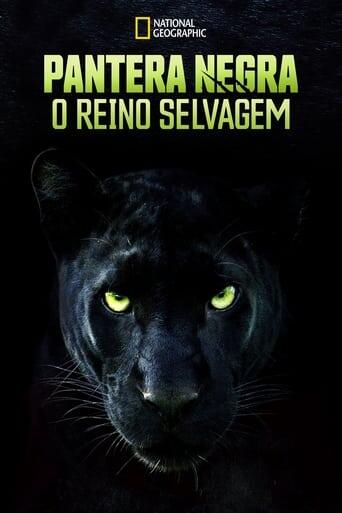 Assistir Pantera Negra: O Reino Selvagem online