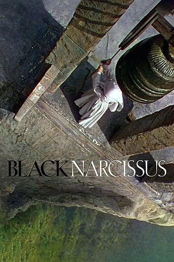 Assistir Narciso Negro online