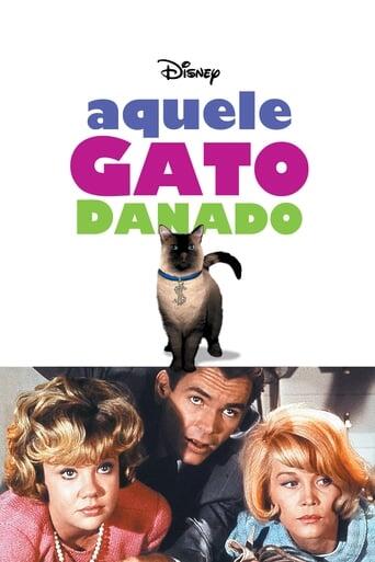 Assistir Aquele Gato Danado online