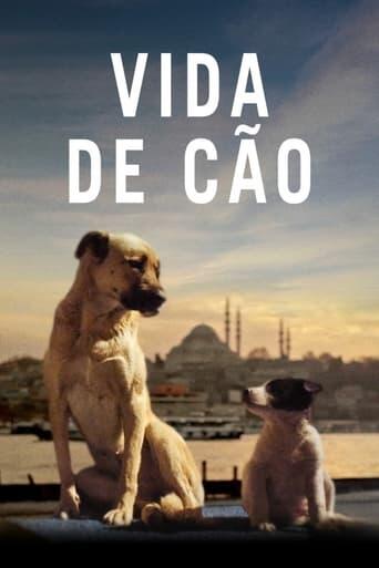 Assistir Vida de Cão online