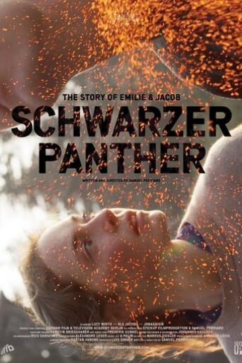 Assistir Schwarzer Panther online