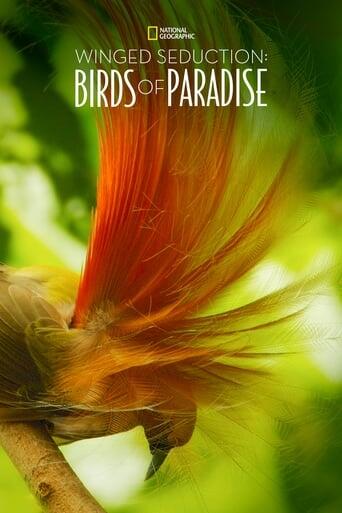 Assistir Winged Seduction: Birds of Paradise online