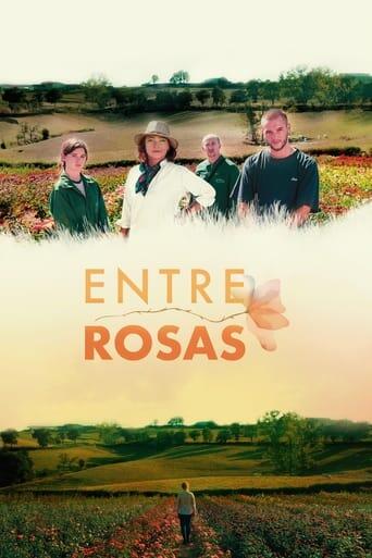 Assistir Entre rosas online