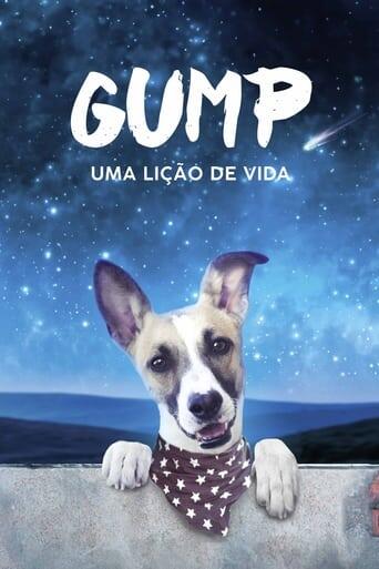 Assistir Gump: Uma Lição de Vida online